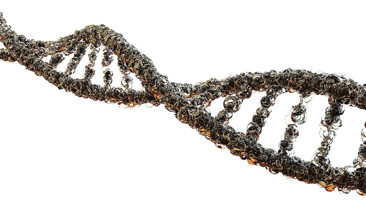 molecola DNA